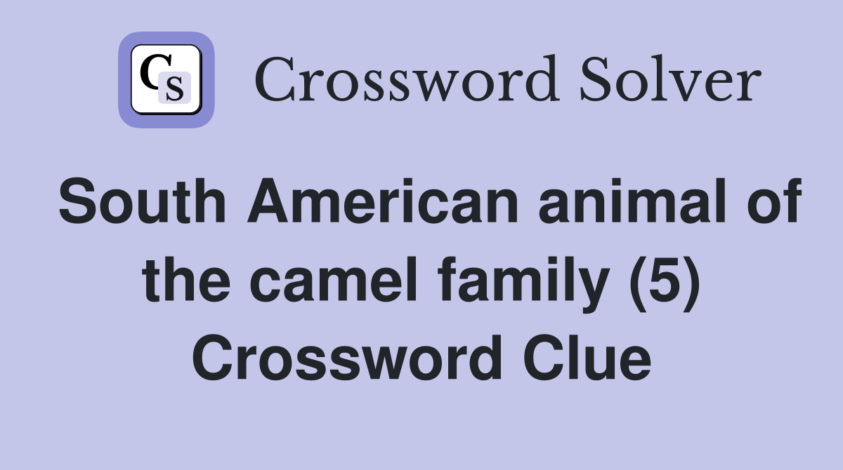 South American animal of the camel family (5) - Crossword Clue Answers